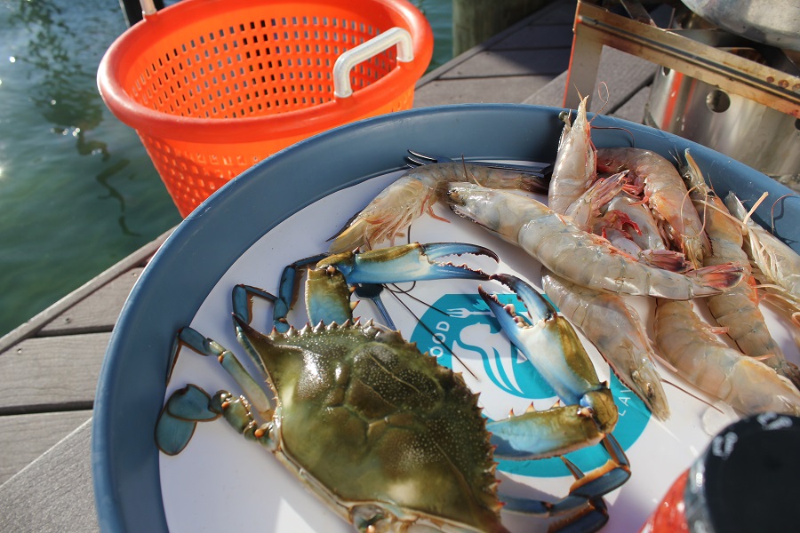The Gulf’s productive waters abound with fish and shellfish